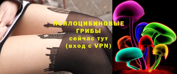 мяу мяу мука Бородино