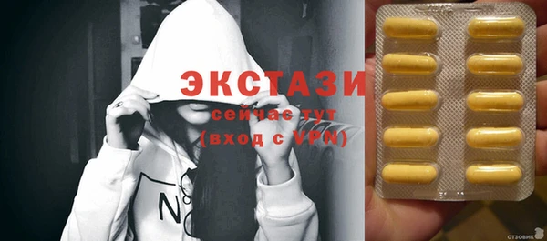 твердый Краснослободск