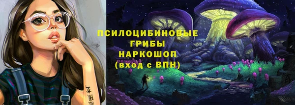 мяу мяу мука Бородино