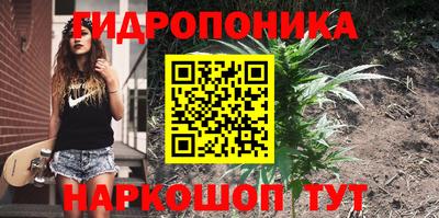 крисы Ярцево