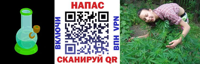 Канабис OG Kush кракен зеркало Дальнегорск