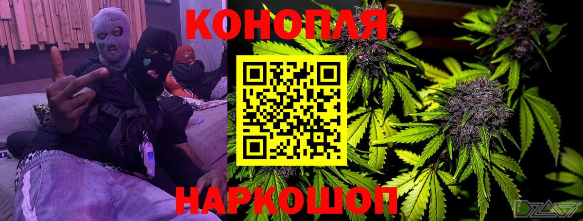 Марихуана план  Марихуана SATIVA & INDICA  Вход с VPN  Дальнегорск 